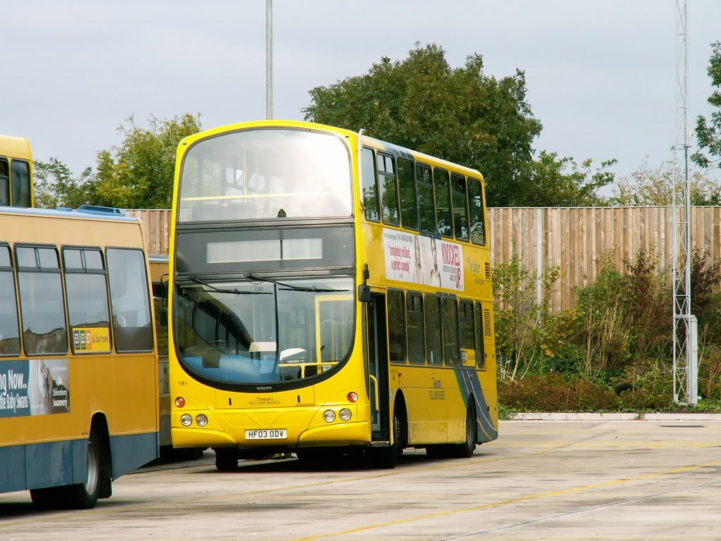 yellow buses 1c